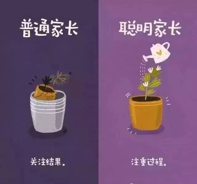 0 (21).jpg